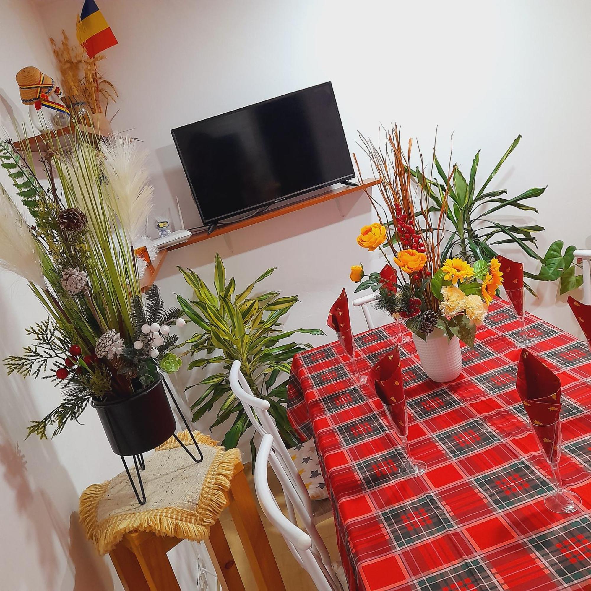 Apartment Boulevard Cetate Alba Iulia Habitación foto
